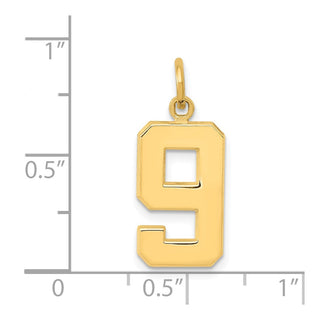 14k Yellow Gold Casted Medium Polished Number 9 Charm