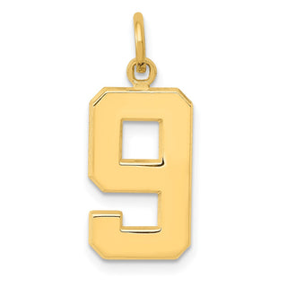 14k Yellow Gold Casted Medium Polished Number 9 Pendant