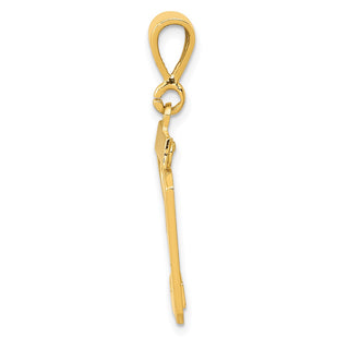 14k Yellow Gold Medium Polished Number 29 Pendant MP29