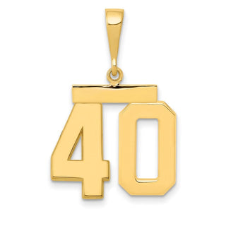 10k Yellow Gold Medium Polished Number 40 Pendant