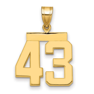 14k Yellow Gold Medium Polished Number 43 Pendant MP43