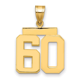 14k Yellow Gold Medium Polished Number 60 Pendant MP60