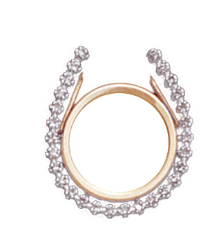 14K Gold DIAMOND HORSESHOE Bezel Pendant 14 mm