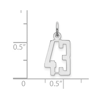 Sterling Silver Rhodium-plated Small Elongated Polished Number 43 Charm
