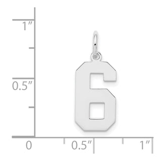 Sterling Silver Rhodium-plated Medium Polished Number 6 Charm