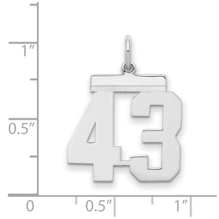 Sterling Silver Rhodium-plated Medium Polished Number 43 Charm