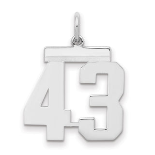 Sterling Silver Rhodium-plated Medium Polished Number 43 Charm