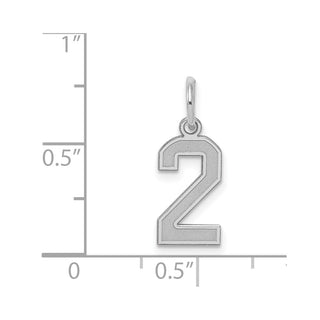 Sterling Silver Rhodium-plated Small Satin Number 2 Charm