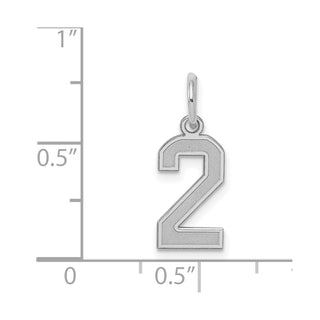 Sterling Silver Rhodium-plated Small Satin Number 2 Charm