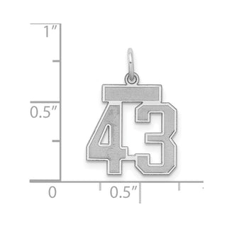 Sterling Silver Rhodium-plated Small Satin Number 43 Charm