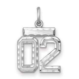 Sterling Silver Small Diamond-Cut #02 Charm