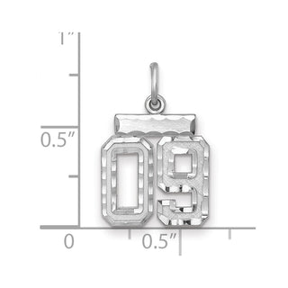 Sterling Silver Small Diamond-Cut #09 Charm
