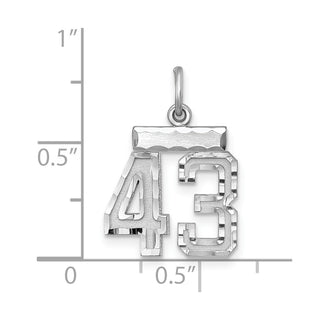 Sterling Silver Rhodium-plated Small #43 Charm