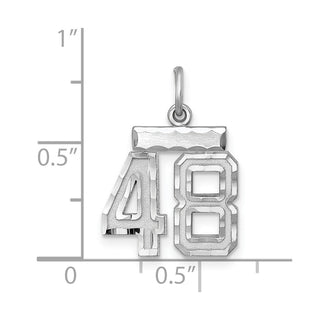 Sterling Silver Rhodium-plated Small #48 Charm
