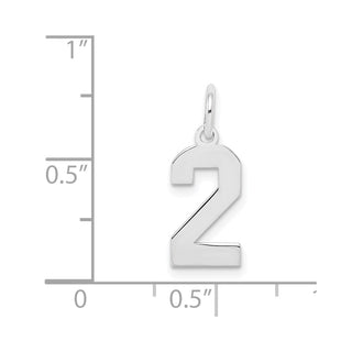 Sterling Silver Rhodium-plated Small Polished Number 2 Charm