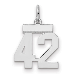 Sterling Silver Rhodium-plated Small Polished Number 42 Charm