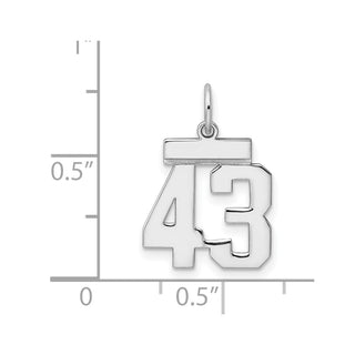 Sterling Silver Rhodium-plated Small Polished Number 43 Charm