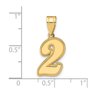 14k Yellow Gold Polished Script Number 2 Pendant