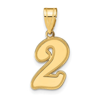 14k Yellow Gold Polished Script Number 2 Pendant