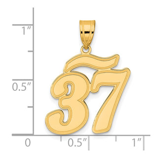 14k Yellow Gold Brushed Border Script Number 37 Pendant