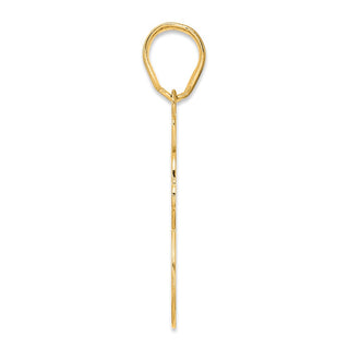 14k Yellow Gold Brushed Border Script Number 38 Pendant