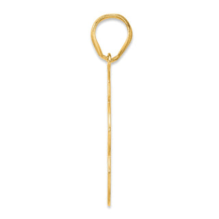 14k Yellow Gold Brushed Border Script Number 43 Pendant