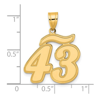 14k Yellow Gold Brushed Border Script Number 43 Pendant
