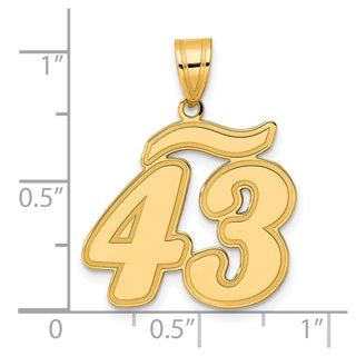 14k Yellow Gold Brushed Border Script Number 43 Pendant