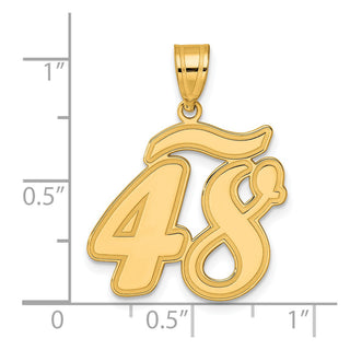 14k Yellow Gold Brushed Border Script Number 48 Pendant