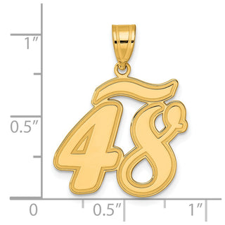 14k Yellow Gold Brushed Border Script Number 48 Pendant