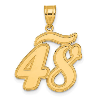 14k Yellow Gold Brushed Border Script Number 48 Pendant
