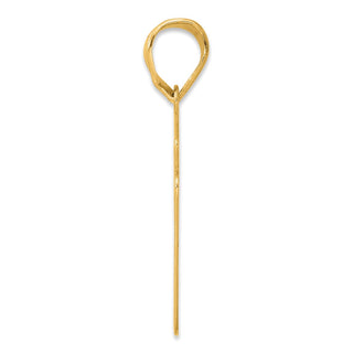14k Yellow Gold Brushed Border Script Number 51 Pendant