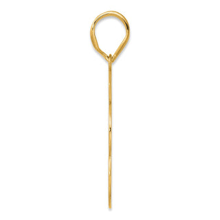 14k Yellow Gold Brushed Border Script Number 53 Pendant