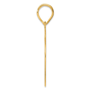 14k Yellow Gold Brushed Border Script Number 59 Pendant