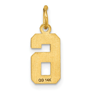 14k Yellow Gold Casted Small Diamond-Cut Number 6 Charm