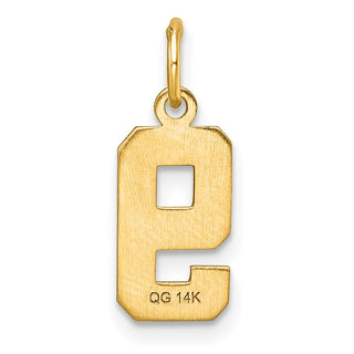 14k Yellow Gold Casted Small Diamond-Cut Number 9 Charm