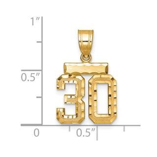 14k Yellow Gold Small Diamond-Cut Number 30 Charm