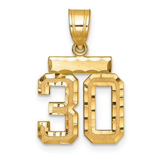 14k Yellow Gold Small Diamond-Cut Number 30 Charm