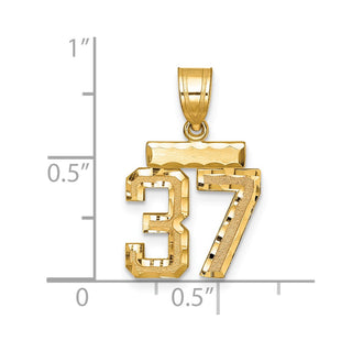 14k Yellow Gold Small Diamond-Cut Number 37 Charm
