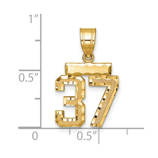 14k Yellow Gold Small Diamond-Cut Number 37 Charm