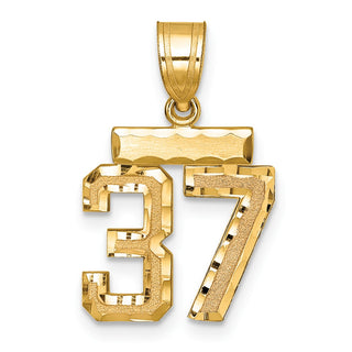 14k Yellow Gold Small Diamond-Cut Number 37 Charm