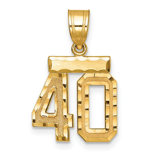 14k Yellow Gold Small Diamond-Cut Number 40 Charm