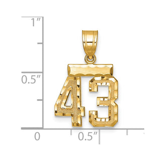 14k Yellow Gold Small Diamond-Cut Number 43 Charm