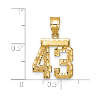 14k Yellow Gold Small Diamond-Cut Number 43 Charm