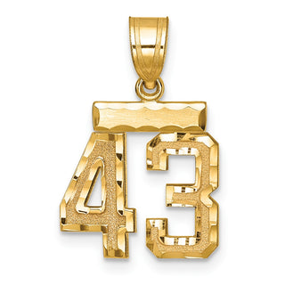 14k Yellow Gold Small Diamond-Cut Number 43 Charm