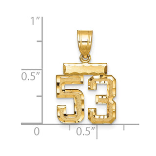 14k Yellow Gold Small Diamond-Cut Number 53 Charm