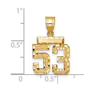 14k Yellow Gold Small Diamond-Cut Number 53 Charm