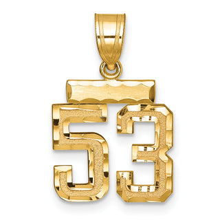 14k Yellow Gold Small Diamond-Cut Number 53 Charm