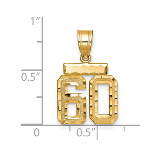 14k Yellow Gold Small Diamond-Cut Number 60 Charm