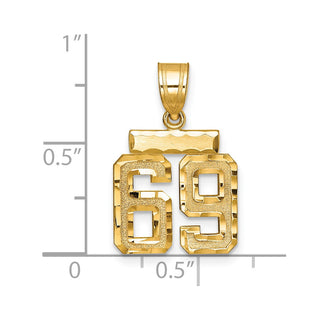 14k Yellow Gold Small Diamond-Cut Number 69 Charm